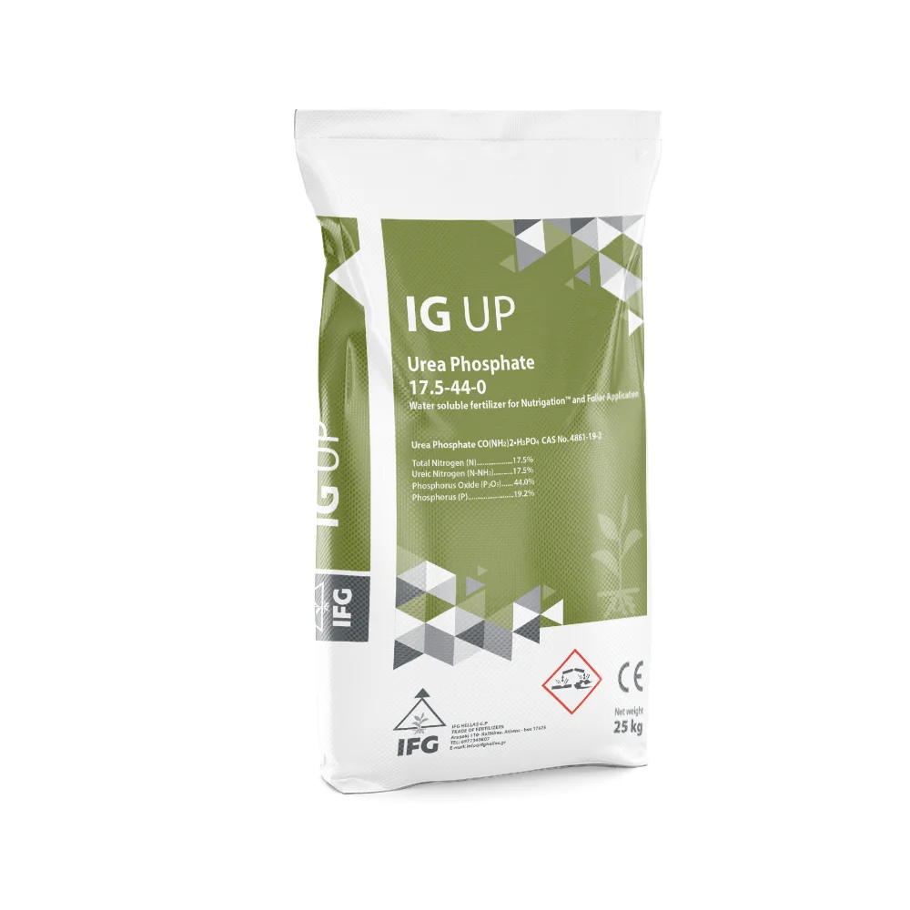 IFG_IG-UP